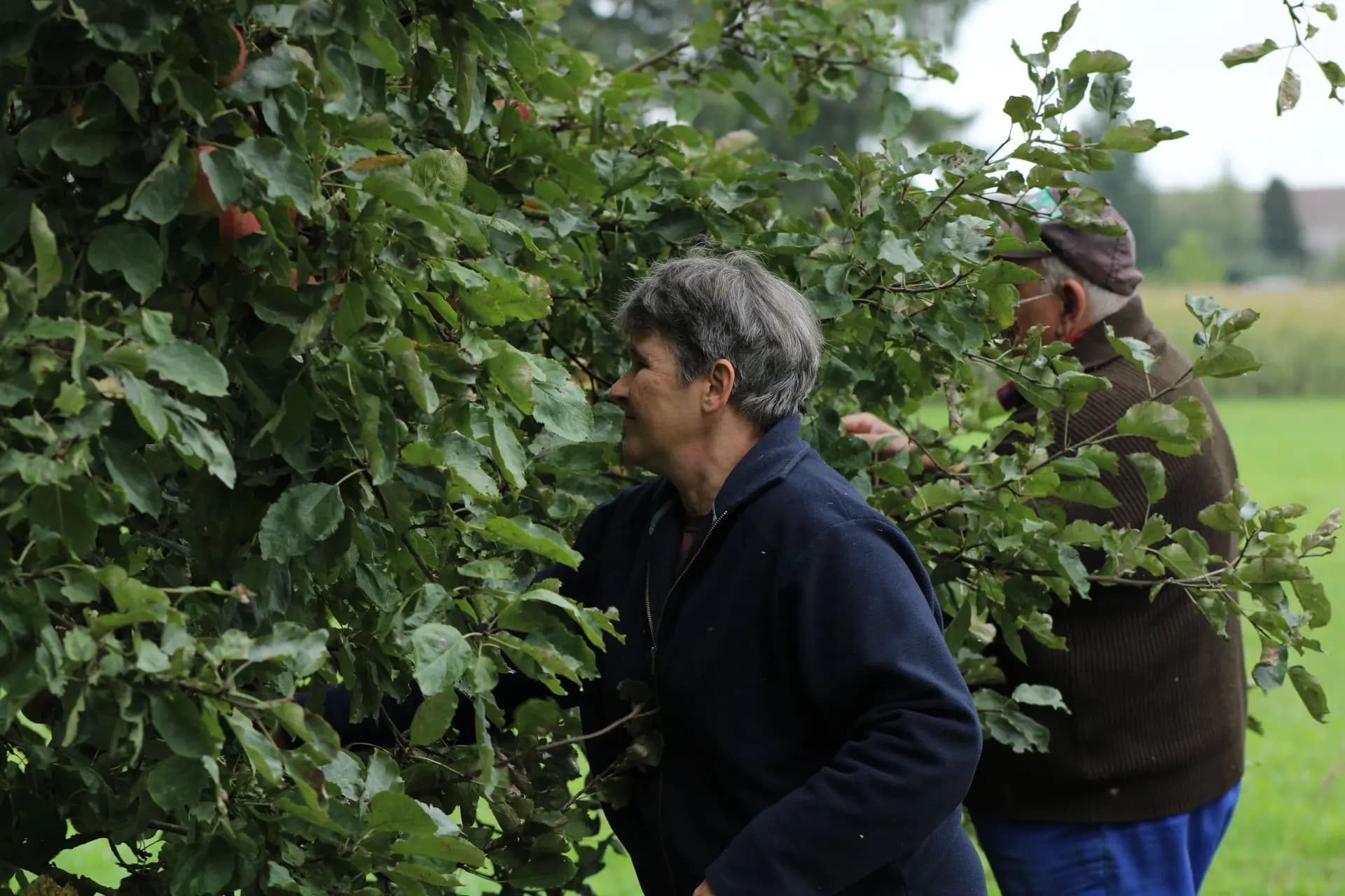 Peter und Agnes an einem Apfelbaum